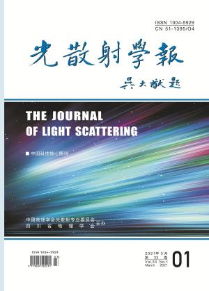 光散射学报