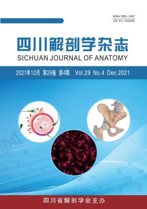 四川解剖学杂志